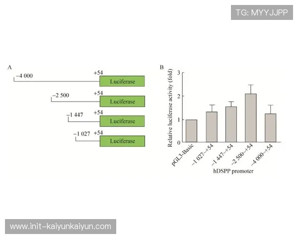 本阶段实施的轻量化回传方案 使得偏远地区体育传播服务的质量获得强保障